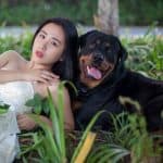 Are Rottweilers Good for First Time Owners