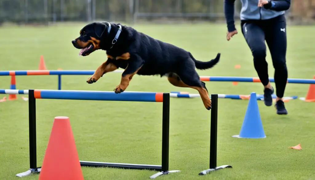 rottweiler puppy training
