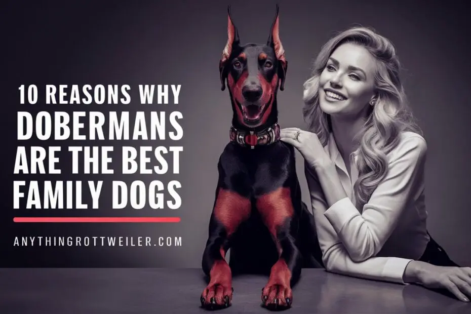 10 Reasons Why Dobermans Are the Best Family Dogs
